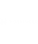 White Hostinger Logo